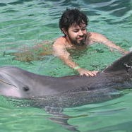 342 Prompts for Cute & Cozy Coloring Books Review